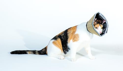 All Four Paws Comfy Cone Pet Cone for Dogs, Cats, Small, Tan - Comfortable Soft Dog Cone Collar Alternative for After Surgery, Wound Care, Spay, Neuter - Dog and Cat Recovery Elizabethan-Collar - Image 5