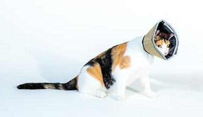 All Four Paws Comfy Cone Pet Cone for Dogs, Cats, Small, Tan - Comfortable Soft Dog Cone Collar Alternative for After Surgery, Wound Care, Spay, Neuter - Dog and Cat Recovery Elizabethan-Collar - Image 5