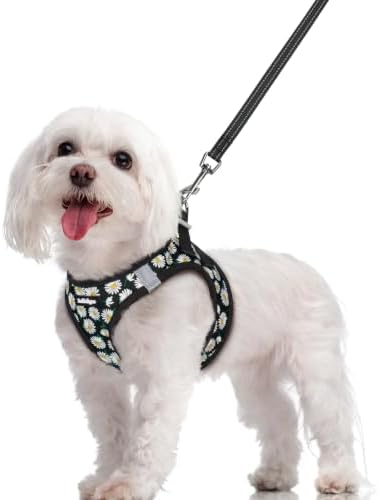 rabbitgoo Dog Harness Medium Sized and Leash Set, Step-in Puppy Pet Vest by rabbitgoo