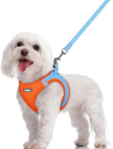 rabbitgoo Dog Harness Medium Sized and Leash Set, Step-in Puppy Pet Vest by rabbitgoo