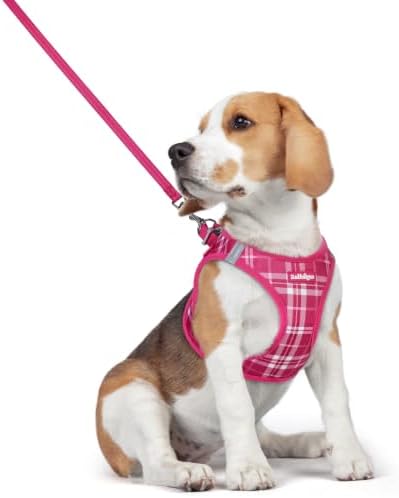 rabbitgoo Dog Harness Medium Sized and Leash Set, Step-in Puppy Pet Vest by rabbitgoo