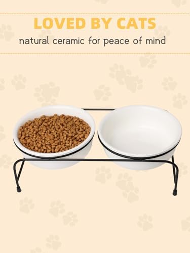 GDCZ Elevated 15 Oz Ceramic Double Cat Bowls with 11x3.5 Inch Stand (White) - Image 4