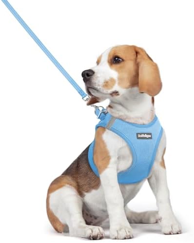 rabbitgoo Dog Harness Medium Sized and Leash Set, Step-in Puppy Pet Vest by rabbitgoo