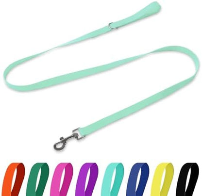 Waterproof Dog Leash, 5/6 FT Durable Odor-Proof Dog Leashes with Strong Metal Hooks Fits Small Medium or Large Dogs (Mint Green, 6FT - 1 inch Width) by KiddingPets