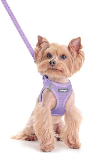 rabbitgoo Dog Harness Small Sized and Leash Set, Step-in Puppy Pet Vest by rabbitgoo