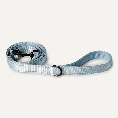 Amazon Basics Reflective Dog Leash with Dual-Padded Handles and D Ring, 4ft - Image 4