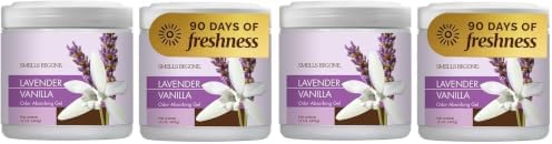 SMELLS BEGONE 15oz Gel Odor Eliminator - Absorb & Remove Tough Odors in Pet Areas, Bathrooms, Basements, Garage, Cars, RVs & Boats - Eliminate Odors Quickly (4-Pack, Lavender Vanilla) by SMELLSBEGONE