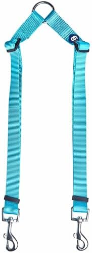 Blueberry Pet Essentials Durable Classic Double Dog Leash Coupler, Turquoise, Medium/Large, Dual Walking & Training Leashes for Two Dogs by BlueberryPet
