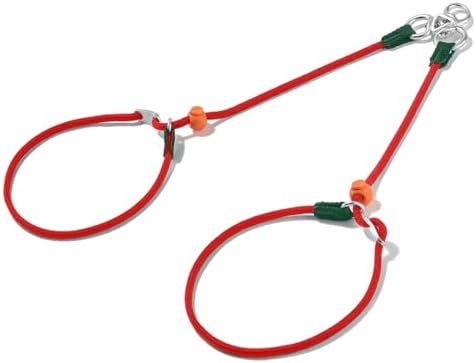 Howgo Slip Lead Leash 2 Dogs, Tangle-Free 360 Swivel(Red,No Handle) by HOWGO
