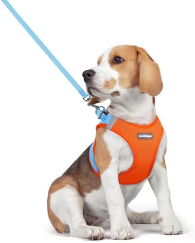 rabbitgoo Dog Harness Medium Sized and Leash Set, Step-in Puppy Pet Vest by rabbitgoo