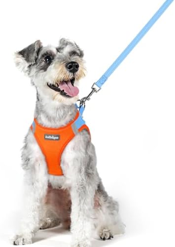 rabbitgoo Dog Harness Medium Sized and Leash Set, Step-in Puppy Pet Vest by rabbitgoo