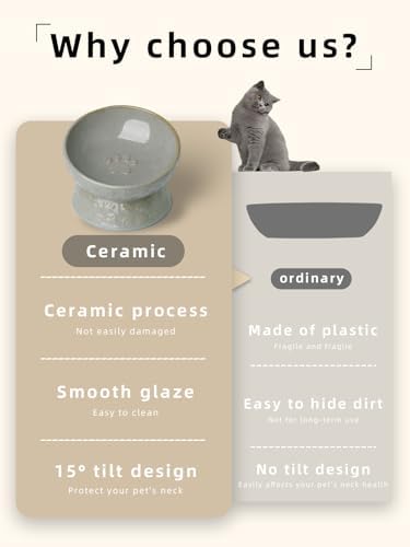 Ceramic Cat Food Bowl, 15° Tilted Raised Cat Food Bowl 5 oz (Vintage White) - Image 4