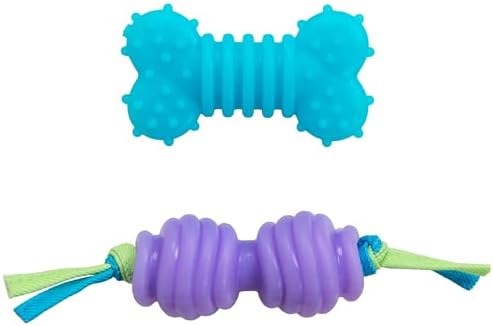 Chew Dog Toys for Teething Puppies & Small Dogs up to 15 lbs, Multi-Texture Dental Support, Bounces & Floats, Moderate Chewers, 2-Pack, 5" by Pupstages