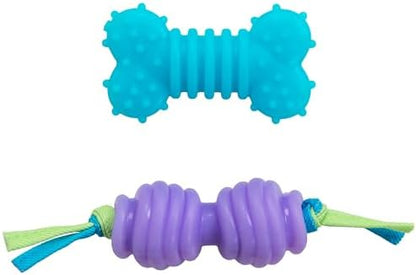 Chew Dog Toys for Teething Puppies & Small Dogs up to 15 lbs, Multi-Texture Dental Support, Bounces & Floats, Moderate Chewers, 2-Pack, 5" by Pupstages
