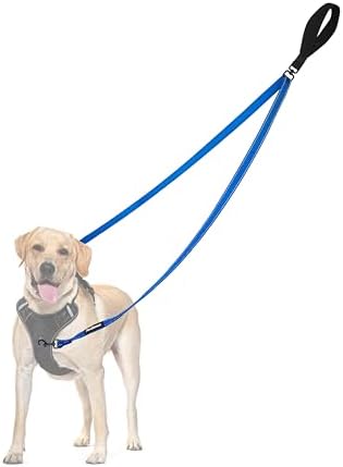 PetBonus Two Point Control Dog Leash, No Tangle Training Walking Leashes by Petbonus