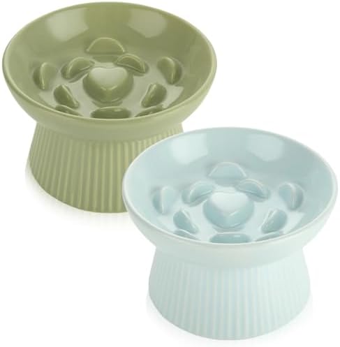 ABuff 2 Pack Raised Cat Slow Feeder, Elevated Slow Feed Dish for Cats and Small Dogs, Ceramic Slow Feeder Cat Bowl, No Spill High Edge for Dry/Wet Food(Blue, Green) by AbuffUS