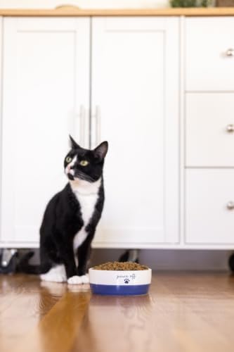 Pearhead Ceramic Cat Bowl, Holds 12 oz, Navy Blue “Paws Off” Design - Image 2