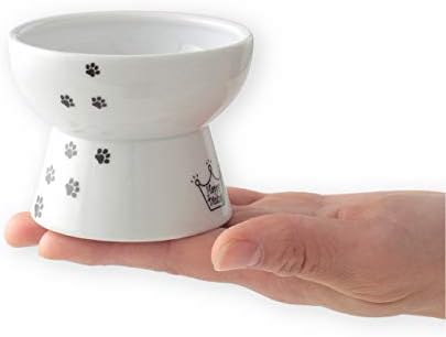 Necoichi Ceramic Elevated Cat Food Bowl, Whisker-Friendly (Cats, Mini) by NECOICHI
