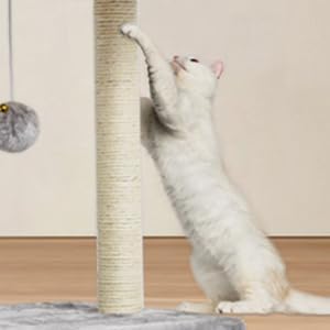 SYANDLVY Cat Tree with Scratching Post for Indoor Cats, Scratching Board with Perch, Cat Post Scratcher with 2 Dangling Balls, Great for Kittens, Grey - Image 6