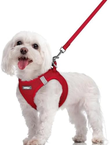 rabbitgoo Dog Harness Medium Sized and Leash Set, Step-in Puppy Pet Vest by rabbitgoo
