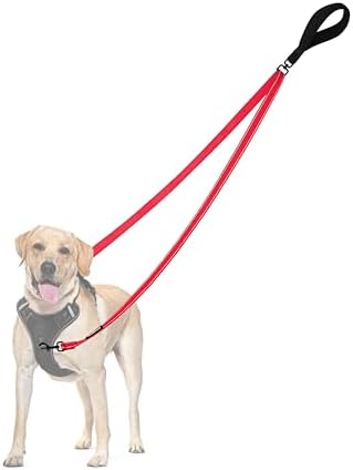 PetBonus Two Point Control Dog Leash, No Tangle Training Walking Leashes by Petbonus