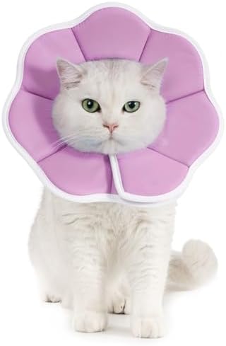 Avont Cat Cone M Adjustable Soft E-Collar, Purple by Avont