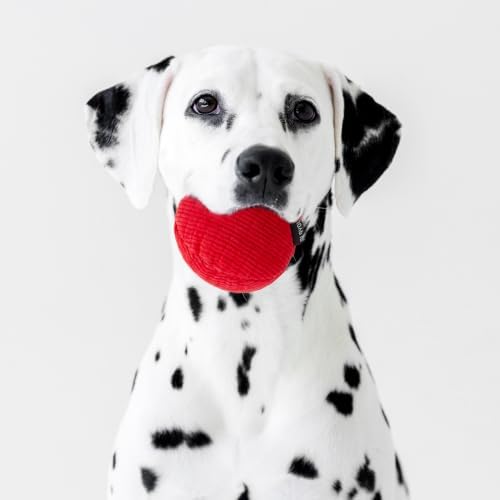 Playology Durable Plush Ball Toy - Crinkle Ball - Jumbo, Beef Scent - Image 3