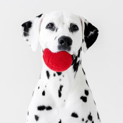 Playology Durable Plush Ball Toy - Crinkle Ball - Jumbo, Beef Scent - Image 3