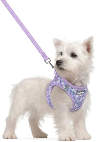 rabbitgoo Dog Harness Small Sized and Leash Set, Step-in Puppy Pet Vest by rabbitgoo