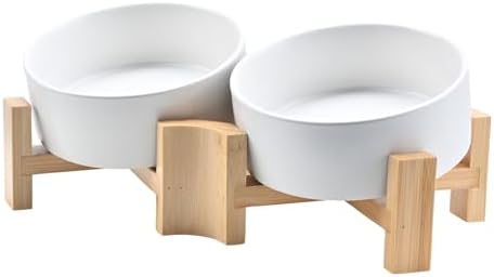 SPUNKYJUNKY 15° Slanted Ceramic Dog and Cat Bowl with Wooden Stand, Tilted Bulldog Food and Water Bowl No Slip Non-Spill for Cats Medium Dogs Big Face Pets 13.5 OZ (1.7 Cups, White × 2) by SPUNKYJUNKY