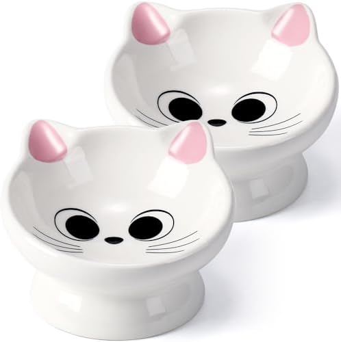 2Pcs Raised Cat Food Bowl Ceramic 15° Tilted Cat Food Bowls Protect Cat's Spine Anti Vomiting Backflow Prevention Bowls for Adult, Kitten, and Small Dogs, Pink by AISBUGUR