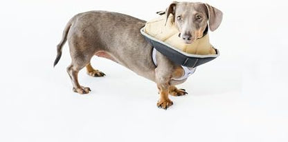All Four Paws Comfy Cone Pet Cone for Dogs, Cats, Small-Long, Tan - Comfortable Soft Dog Cone Collar Alternative for After Surgery, Wound Care, Spay, Neuter - Dog and Cat Recovery Elizabethan-Collar - Image 5
