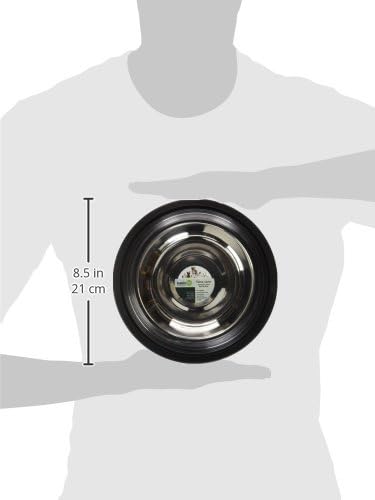 Iconic Pet 2 Cup/16 Oz Elegant Stainless Steel Color Splash Food/Water Bowl with Non Skid, Noise Free, Removable Rubber Ring - Dog/ Cat Feeding Bowl In color shade, Dishwasher Safe - Black, 2 Bowls