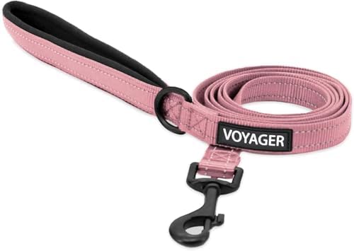 Best Pet Supplies Voyager Nylon Dog Leash - Soft Pink, Medium by BestPetSuppliesLLC