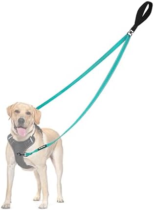 PetBonus Two Point Control Dog Leash, No Tangle Training Walking Leashes by Petbonus
