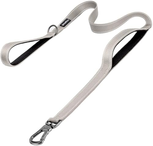 PetiFine 6FT Heavy Duty Dog Leash with Soft Padded Double Handle by PetiFine