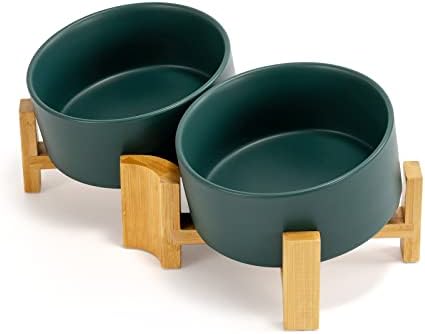 SPUNKYJUNKY 15° Slanted Ceramic Dog and Cat Bowl with Wooden Stand, Tilted Bulldog Food and Water Bowl No Slip Non-Spill for Cats Medium Dogs Big Face Pets 28.7 OZ (3.6 Cups, Green × 2) by SPUNKYJUNKY