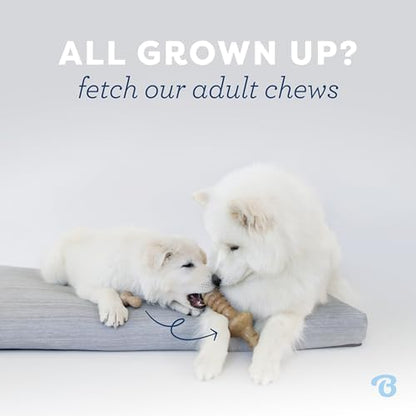 Benebone Puppy 2-Pack Maplestick/Zaggler Dog Chew Toys, Dog Bones, Tiny - Image 5