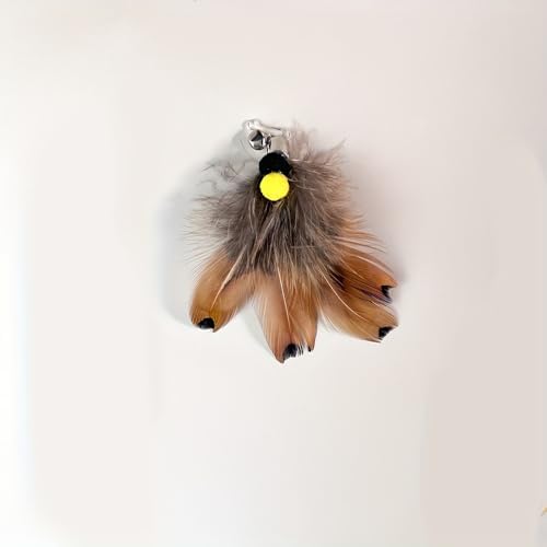 Cat Insect Feather Toy Wand Replacement,Cat Toys Feather Refills,Set of 6 Replacement Heads with Bells,Natural Feather Interactive Cat Toys (Style A) - Image 5