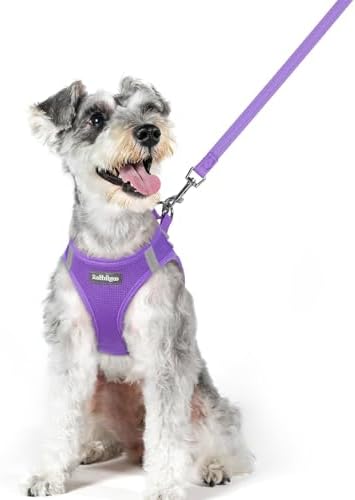 rabbitgoo Dog Harness Medium Sized and Leash Set, Step-in Puppy Pet Vest by rabbitgoo