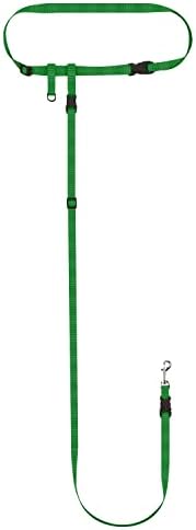 The Buddy System - Hands Free Dog Leash - Small Dog, Large Belt, Green by TheBuddySystem