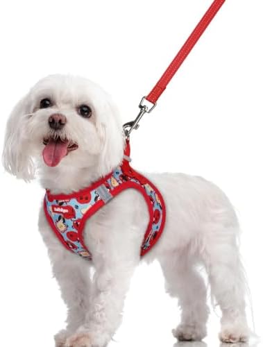 rabbitgoo Dog Harness Medium Sized and Leash Set, Step-in Puppy Pet Vest by rabbitgoo