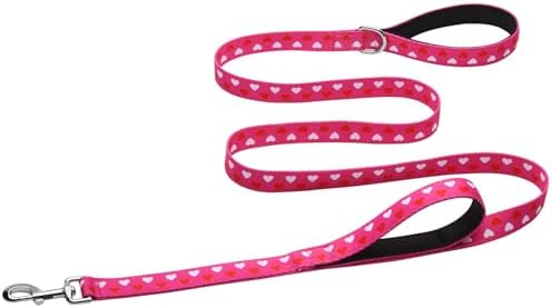 Hikiko 6FT Dog Leash Padded Double Handle with Designed Pattern by Hikiko