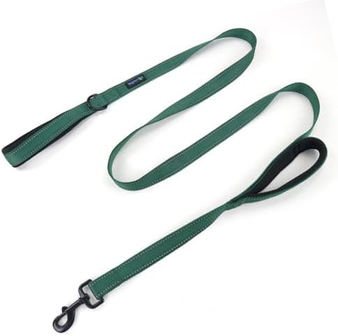 Wagtime Club Heavy Duty Double Handle Dog Leash for Large Medium Small Dogs by Waggin+Tails