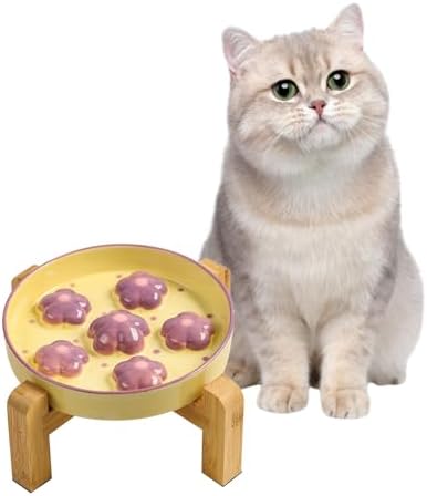 Elevated Ceramic Slow Feeder Cat Bowl with Anti-Slip Bamboo Stand by PTOBER