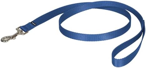 PetSafe Nylon Dog Leash - Strong, Durable, Traditional Style Leash with Easy to Use Bolt Snap - 3/4 in. x 4 ft., Royal Blue by PetSafe