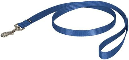 PetSafe Nylon Dog Leash - Strong, Durable, Traditional Style Leash with Easy to Use Bolt Snap - 3/4 in. x 4 ft., Royal Blue by PetSafe