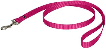PetSafe Nylon Dog Leash, Raspberry Pink, 3/4 in x 4 ft by PetSafe
