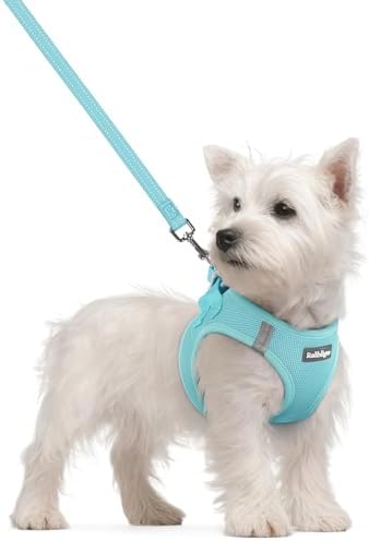 rabbitgoo Dog Harness Small Sized and Leash Set, Step-in Puppy Pet Vest by rabbitgoo