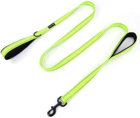 Wagtime Club Heavy Duty Double Handle Dog Leash for Large Medium Small Dogs by Waggin+Tails